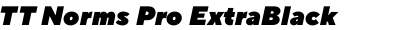 TT Norms Pro ExtraBlack Italic